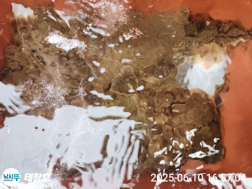 F2697552DX.jpg