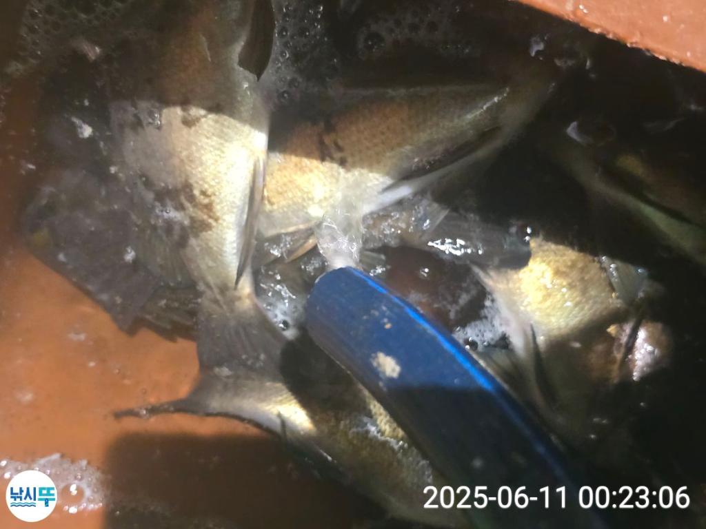 F2697606ZX.jpg