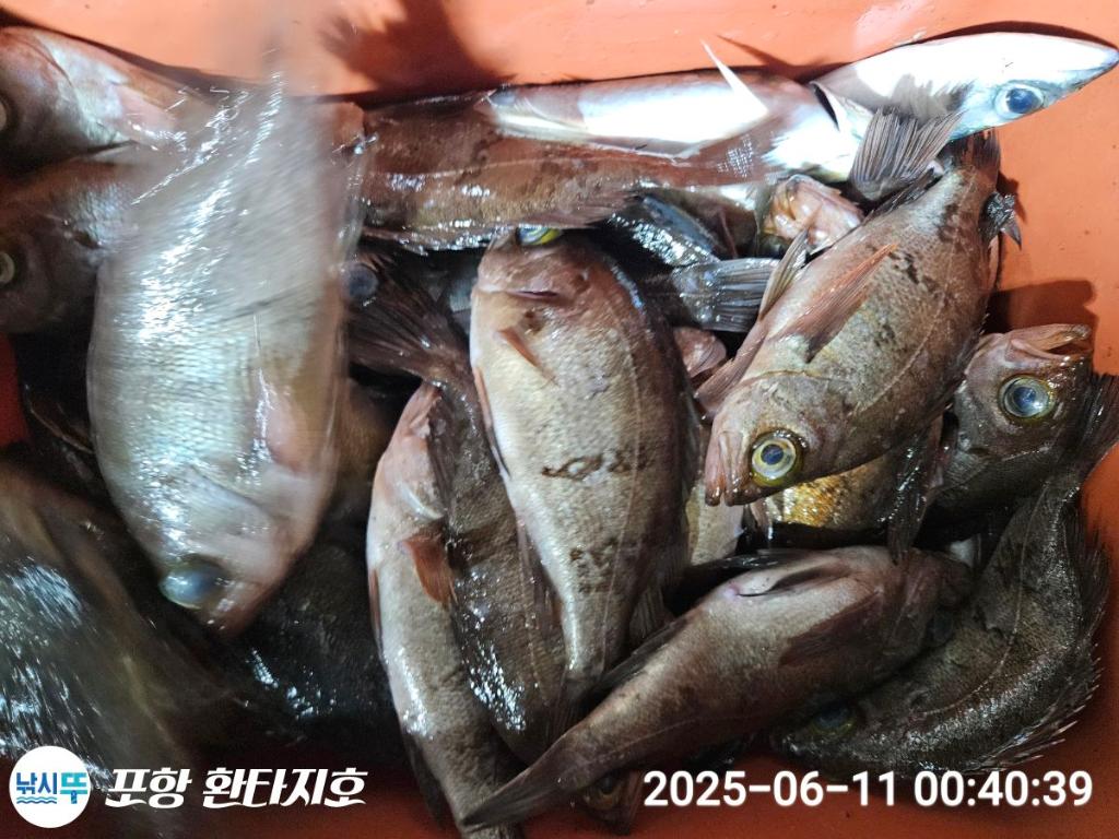 낚시뚜,볼락,포항 동빈항,포항 환타지호,낚시뚜2