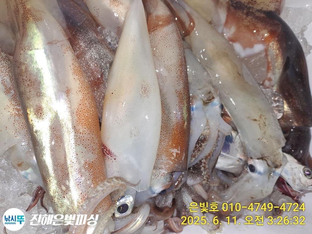 F2697732IL.jpg