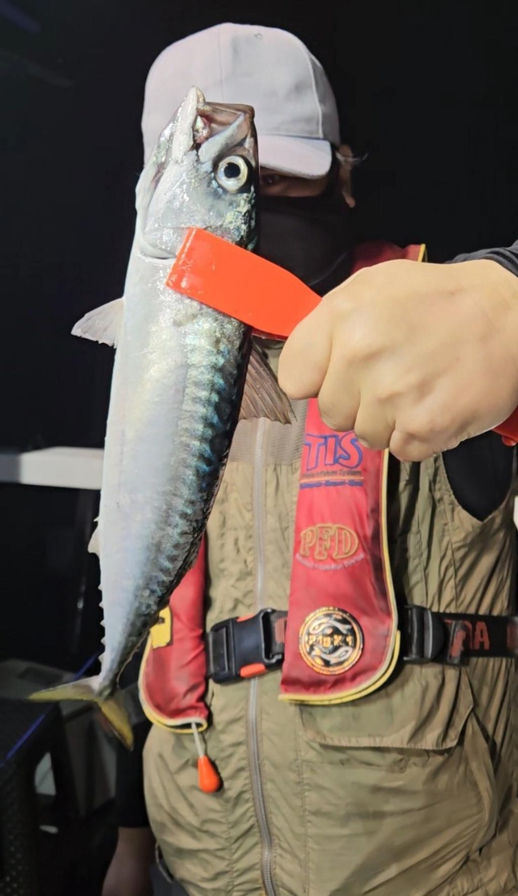 F2698137IU.jpg