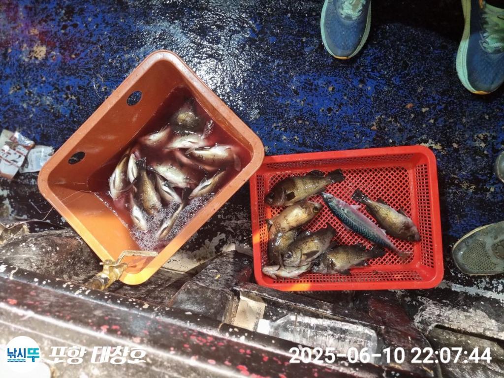 F2698170CR.jpg
