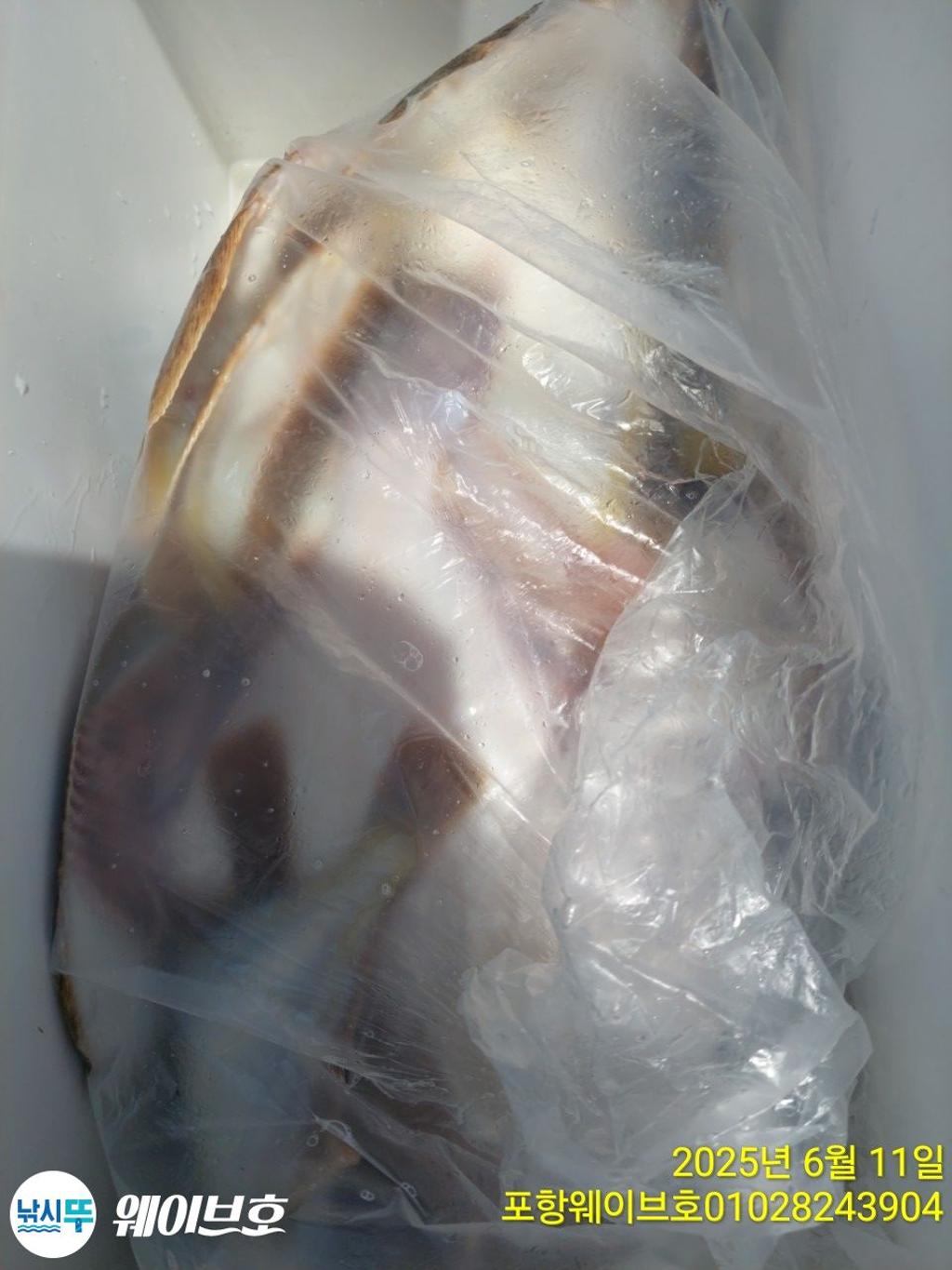 F2698254KR.jpg