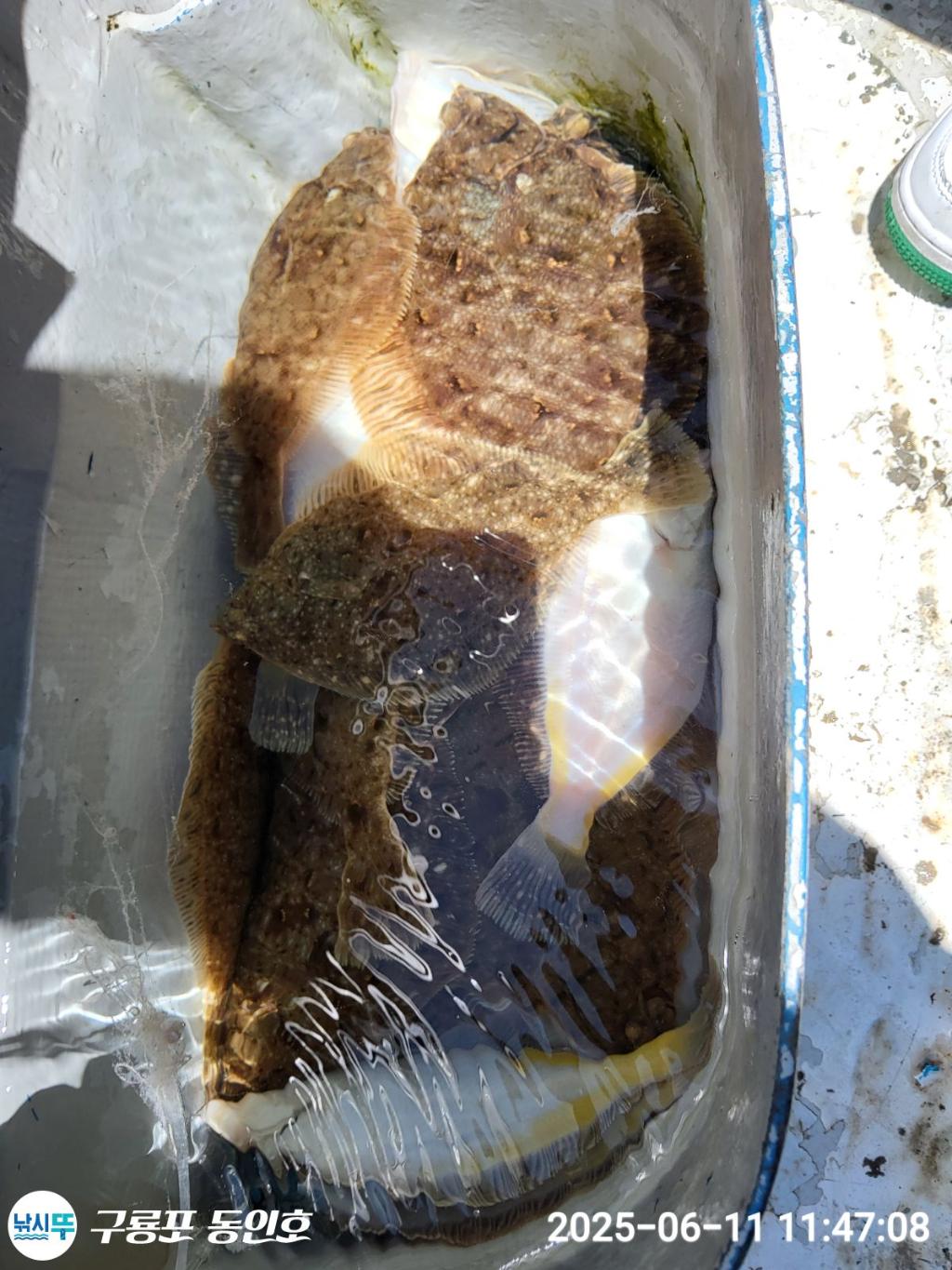 F269833521.jpg