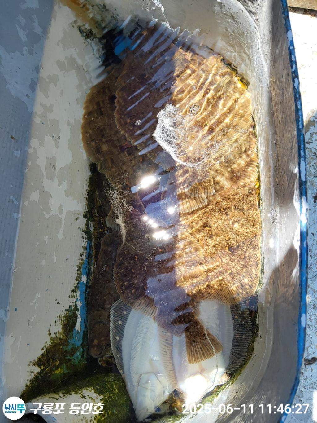 F2698340R1.jpg
