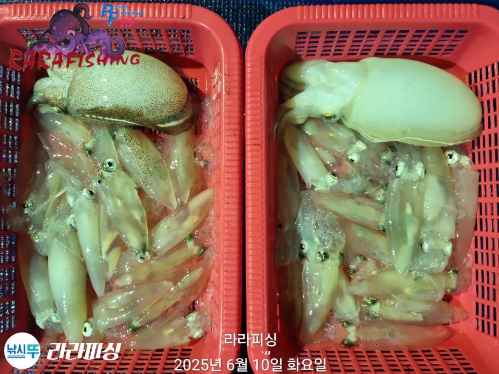 F2698365JA.jpg