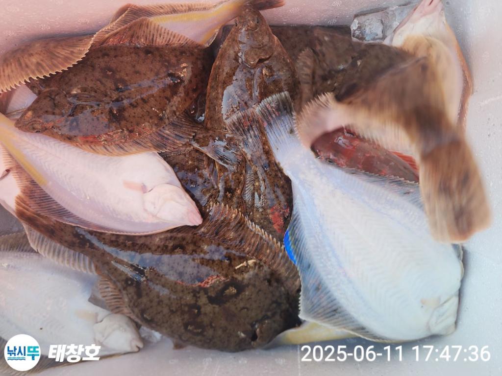 F2698420WR.jpg
