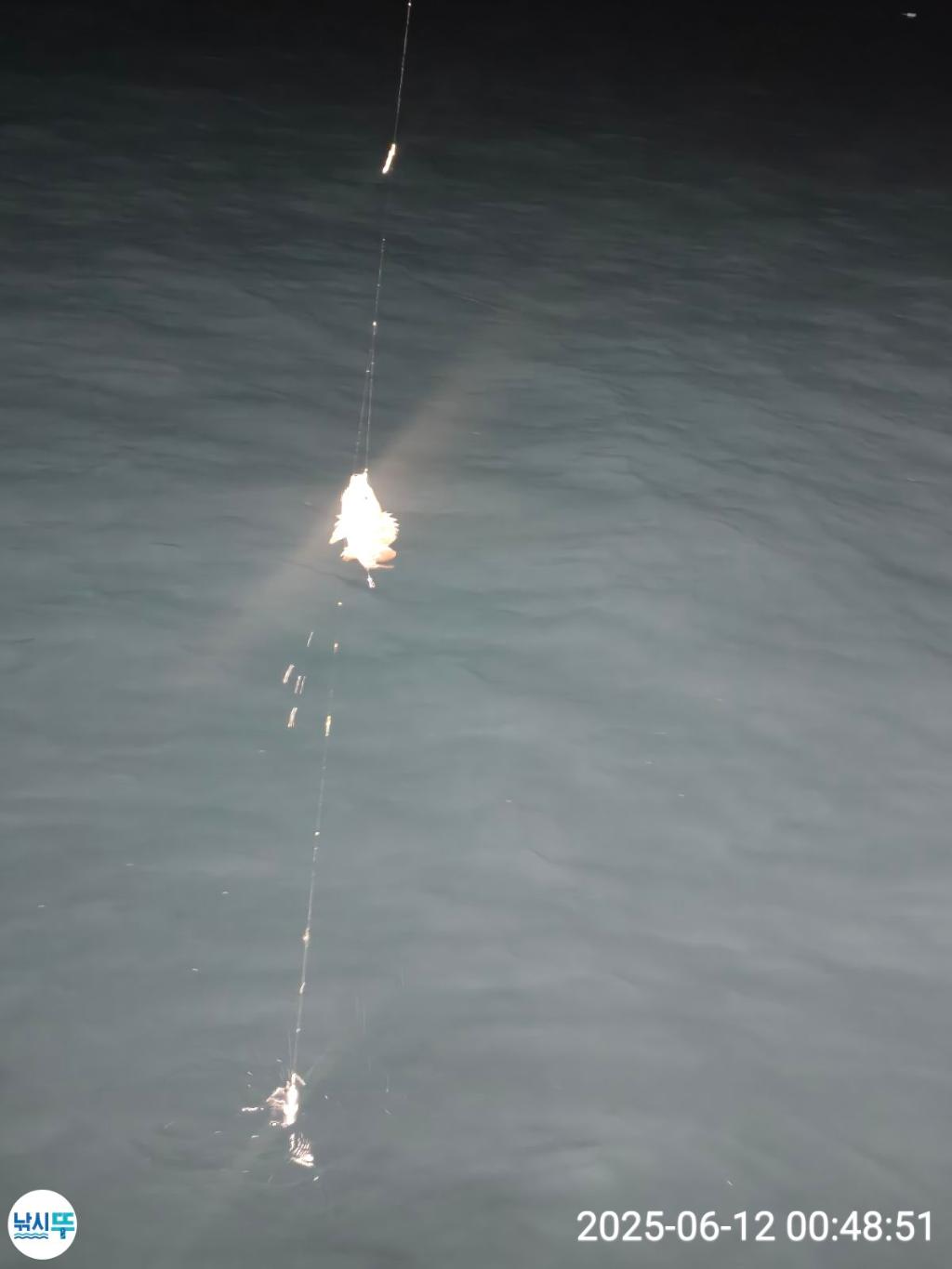 F2698433JH.jpg