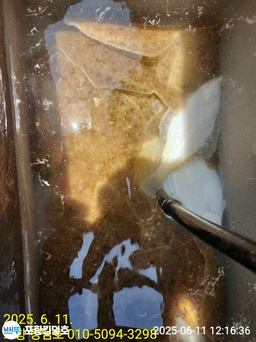 F2698445FG.jpg