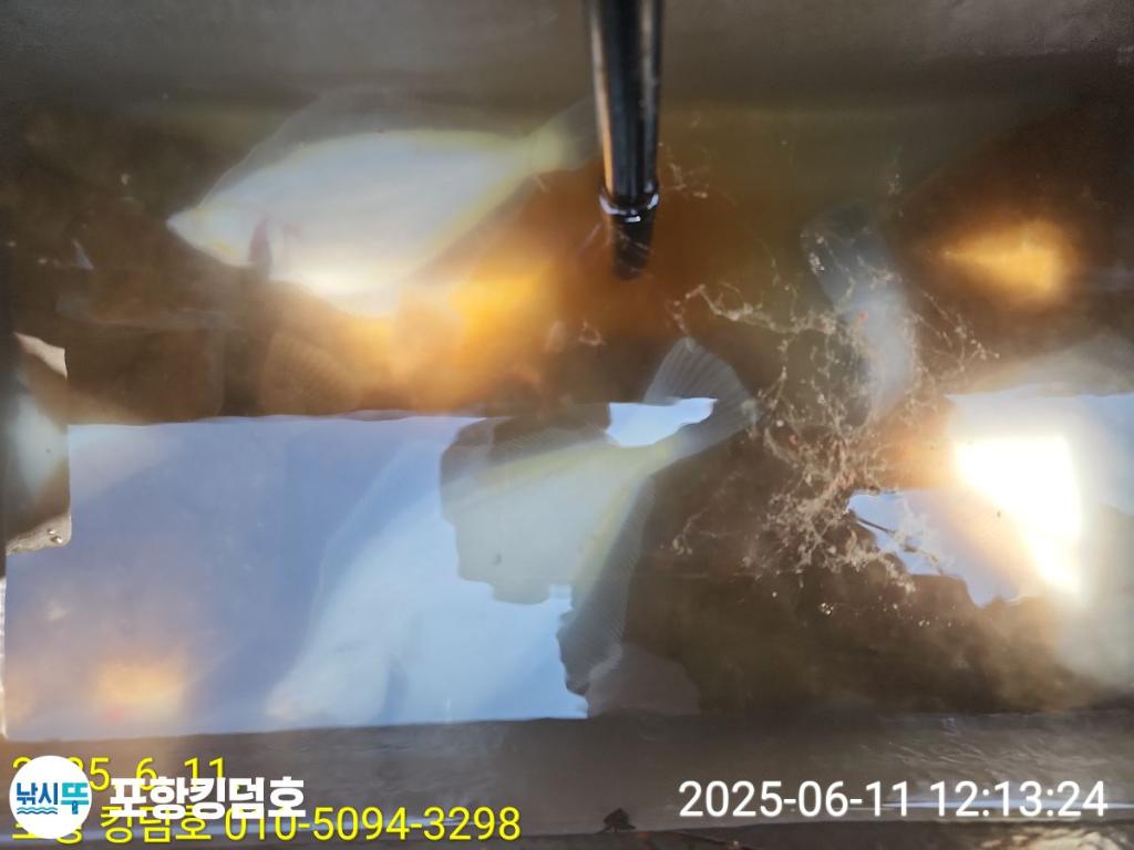 F2698450P6.jpg