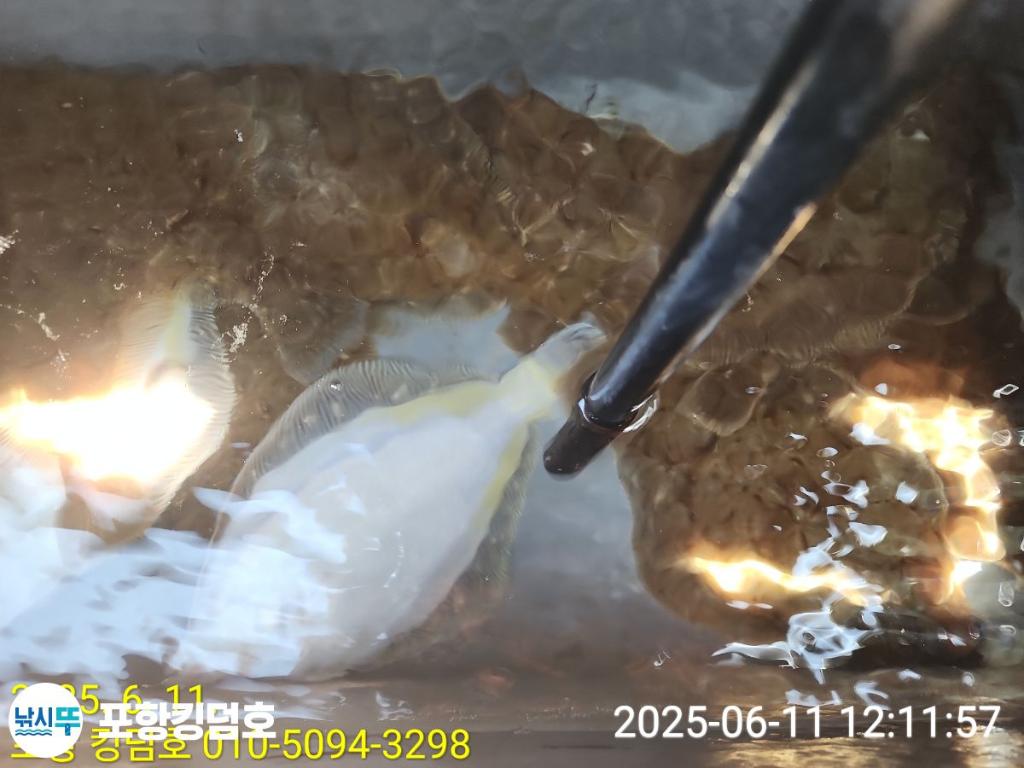 F2698452C8.jpg