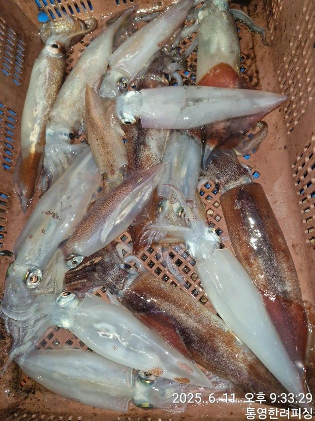 F2698525UA.jpg