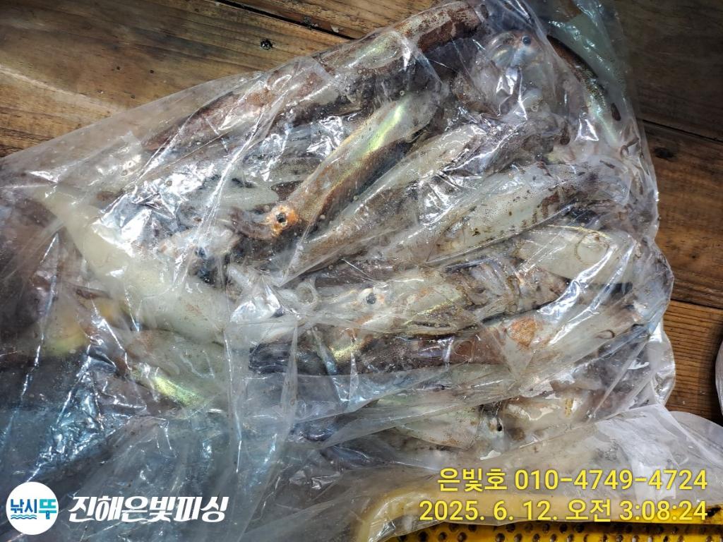F2698545YT.jpg