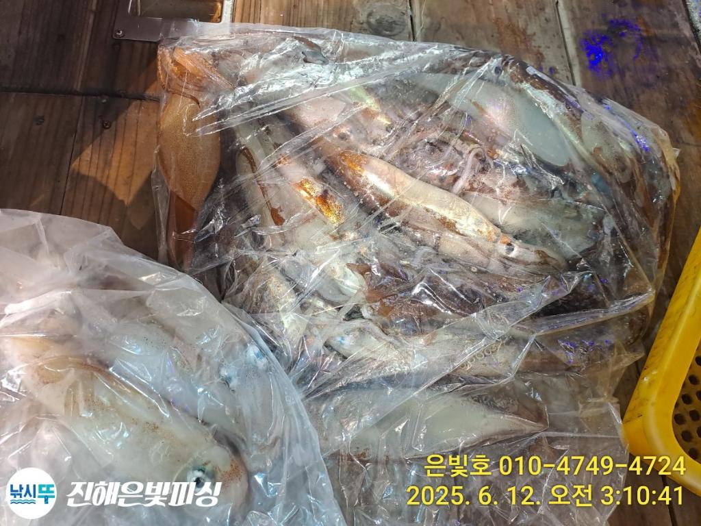 F2698549K5.jpg