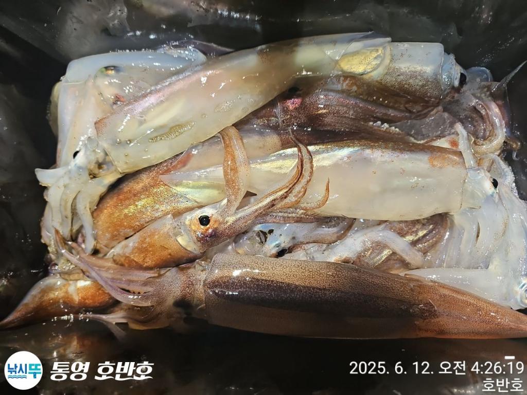 F2698553AY.jpg