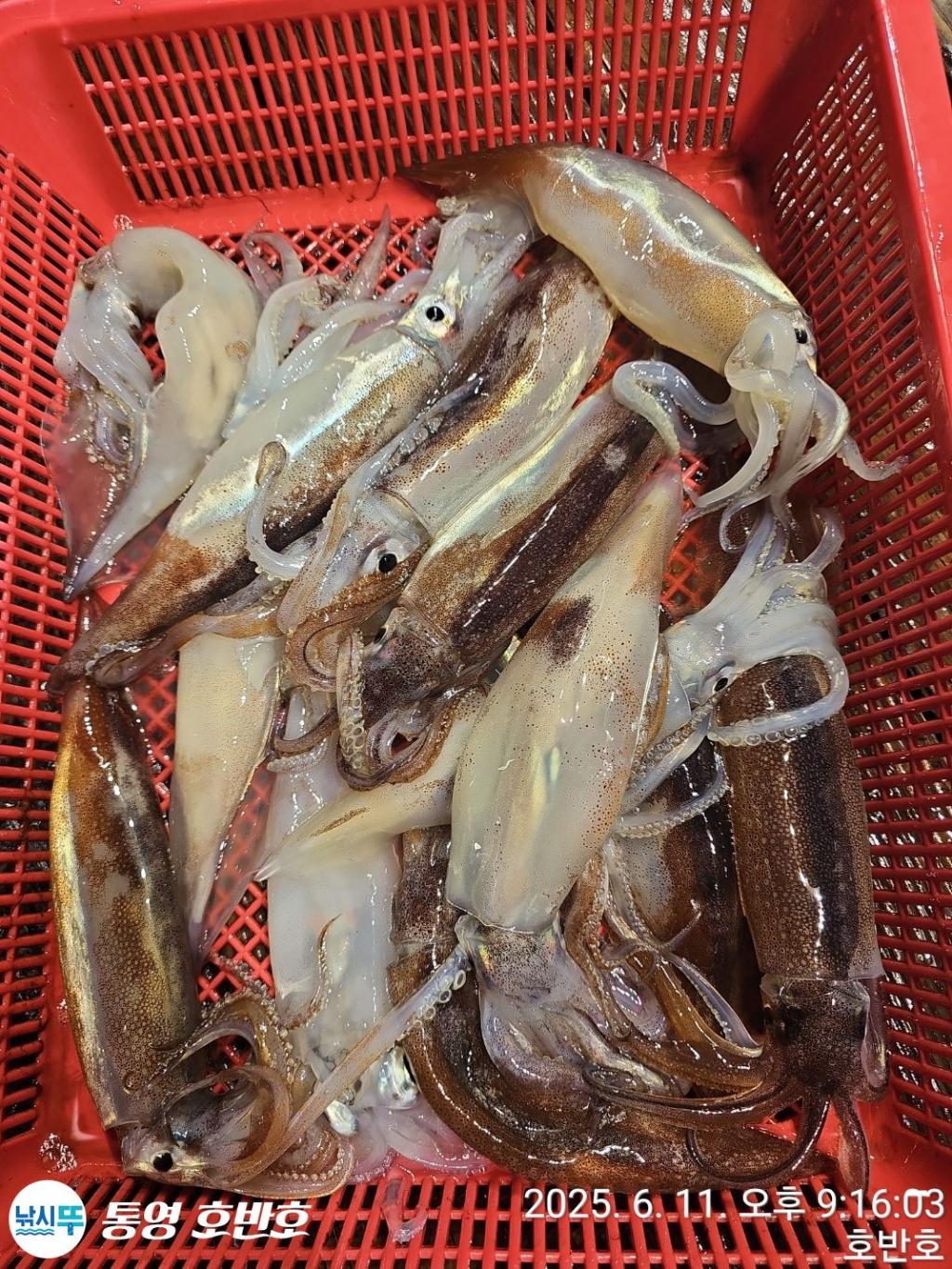 F2698569M1.jpg