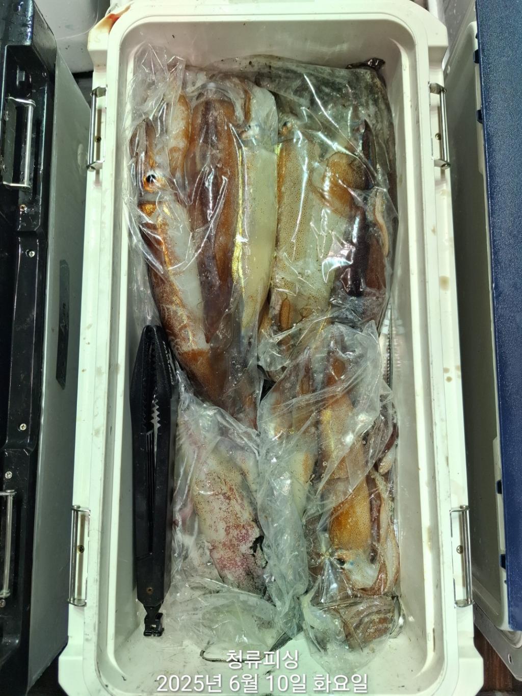 F2698598WA.jpg