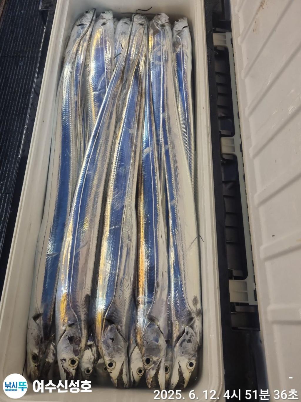 F2698627OG.jpg