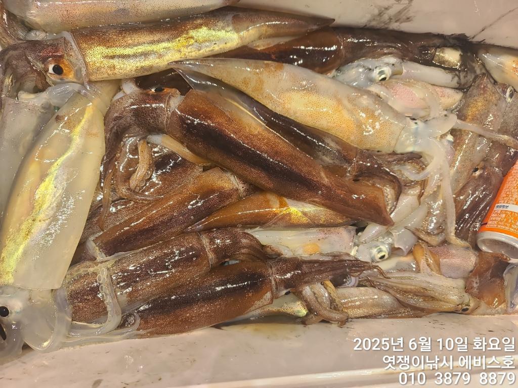 F269875094.jpg