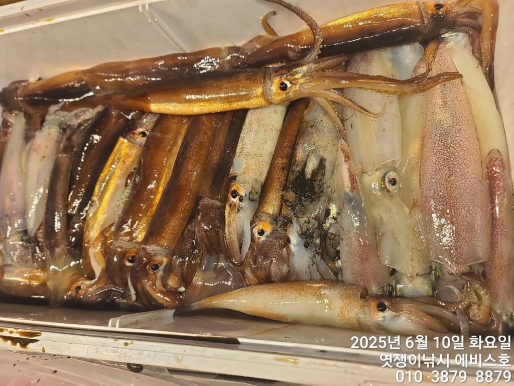 F2698752XB.jpg