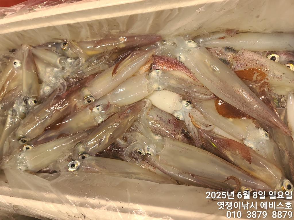 F2698795B6.jpg