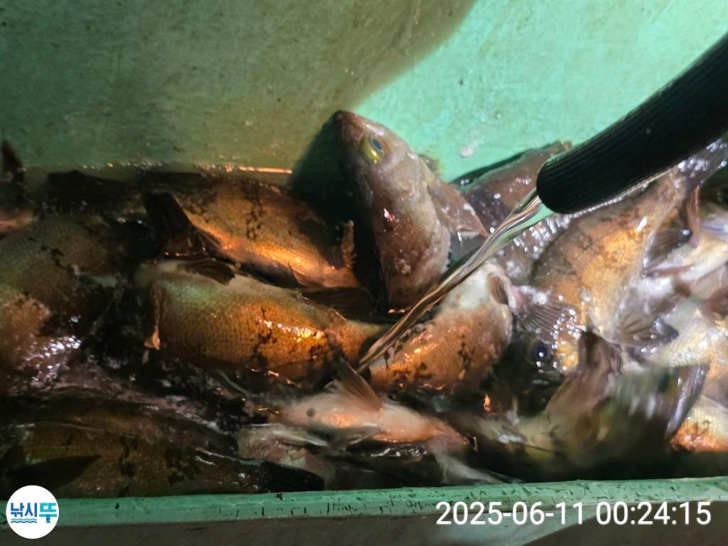F2698935RU.jpg