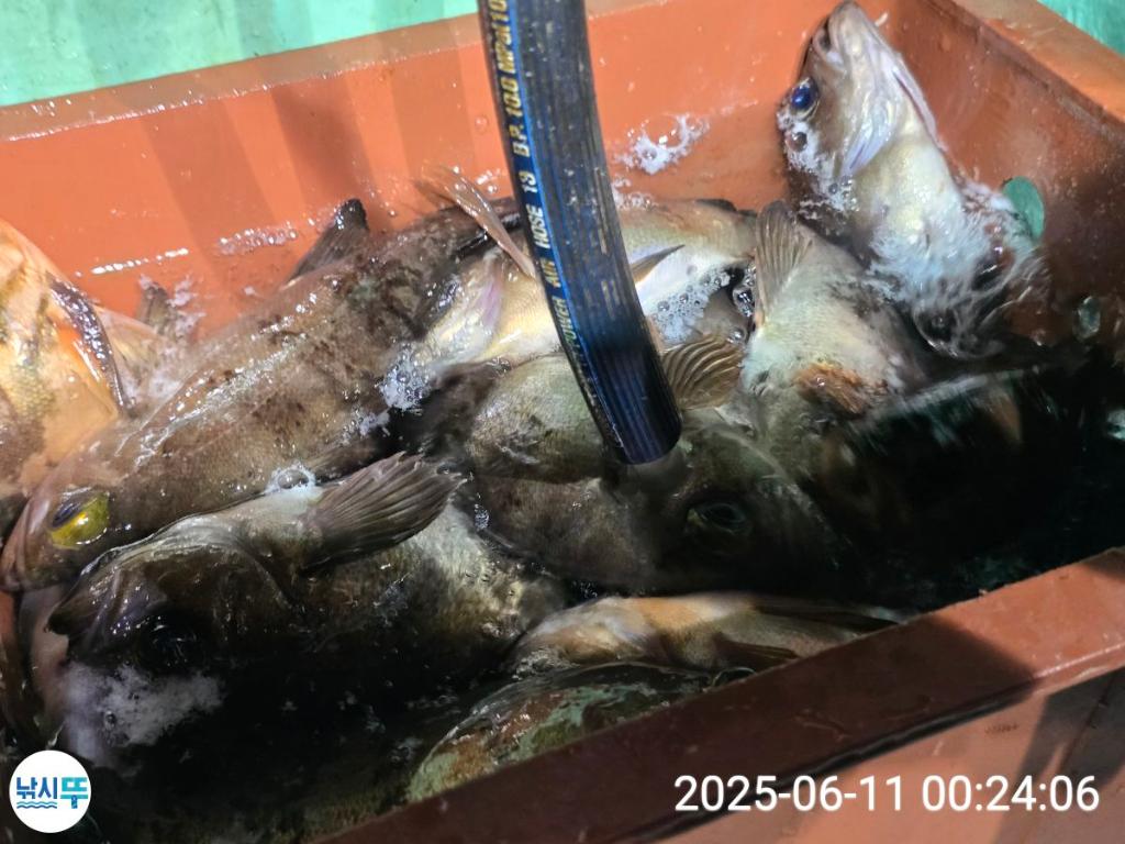 F2698936LQ.jpg