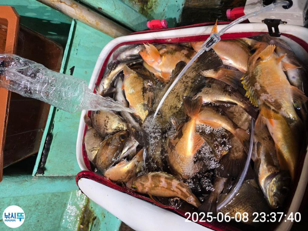 F269898636.jpg