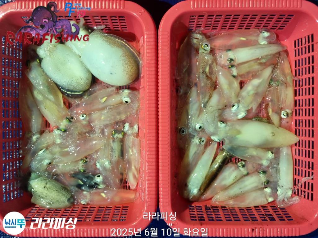 F2698996JY.jpg
