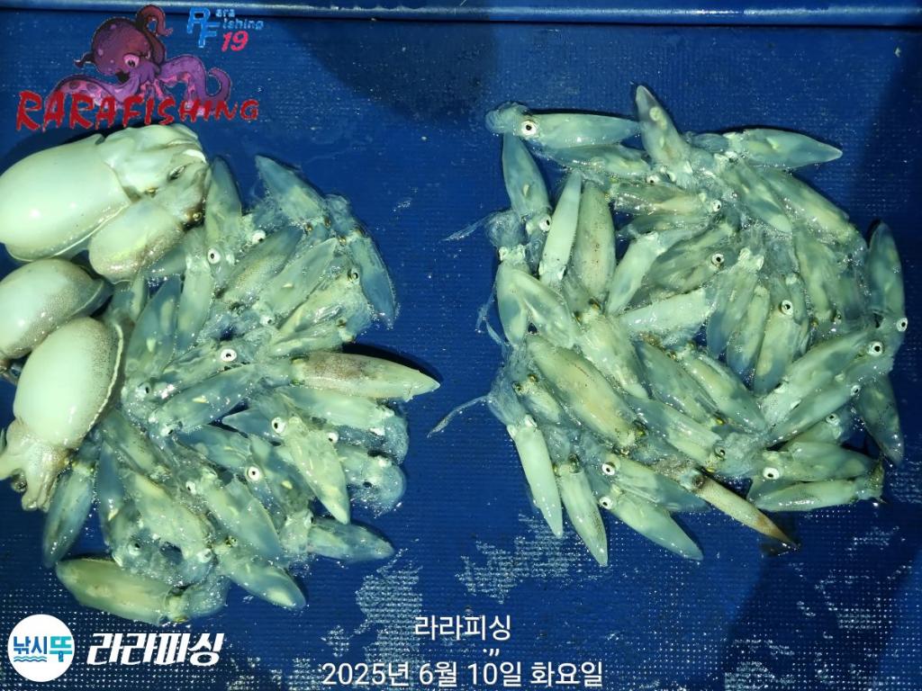 F269899854.jpg