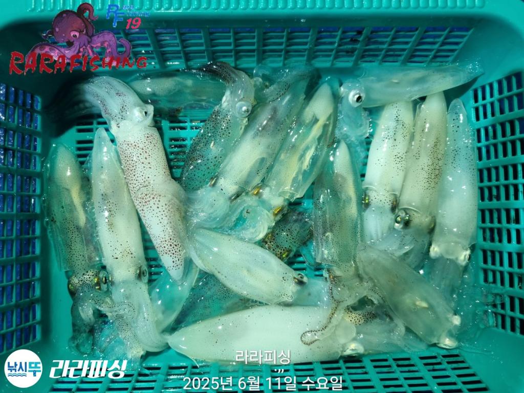 F269901860.jpg