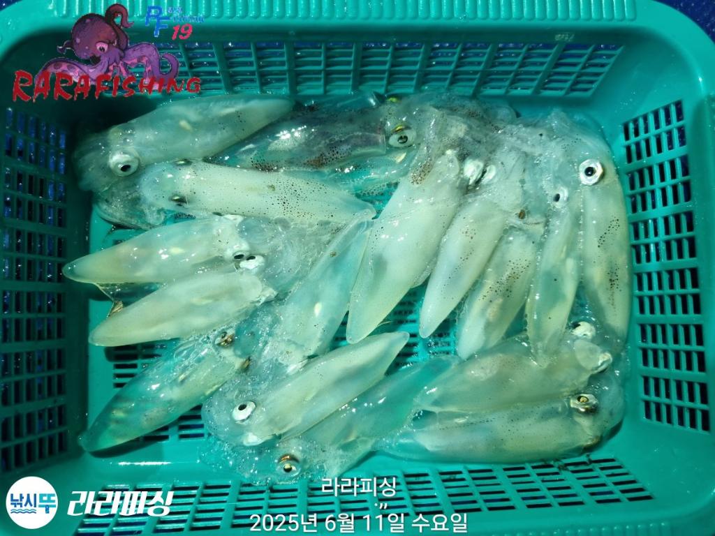 F2699019G9.jpg