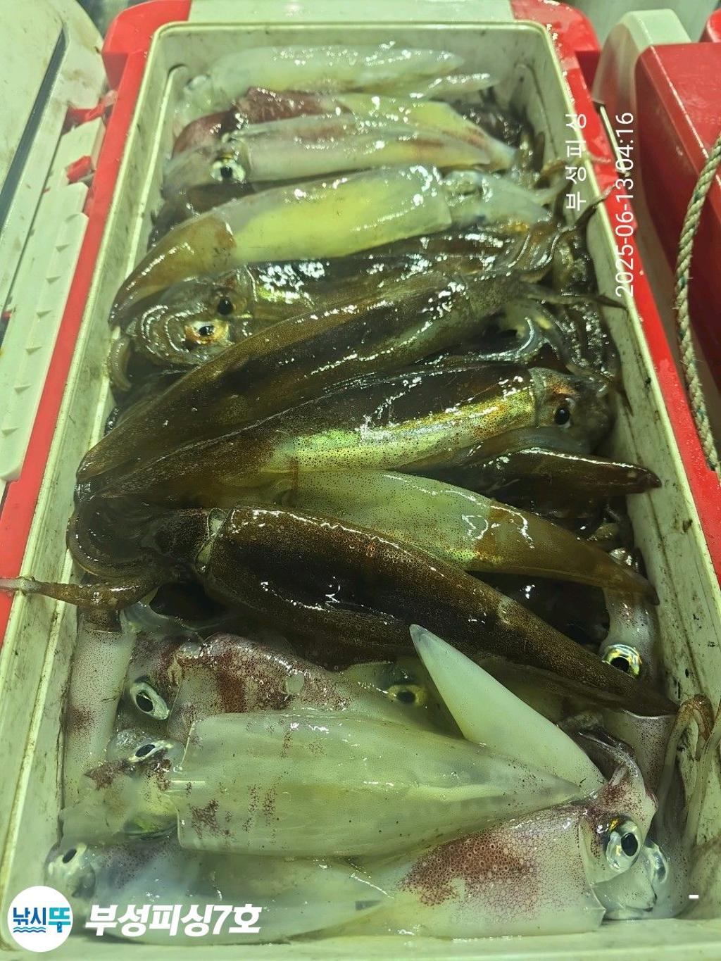 F2699206UG.jpg