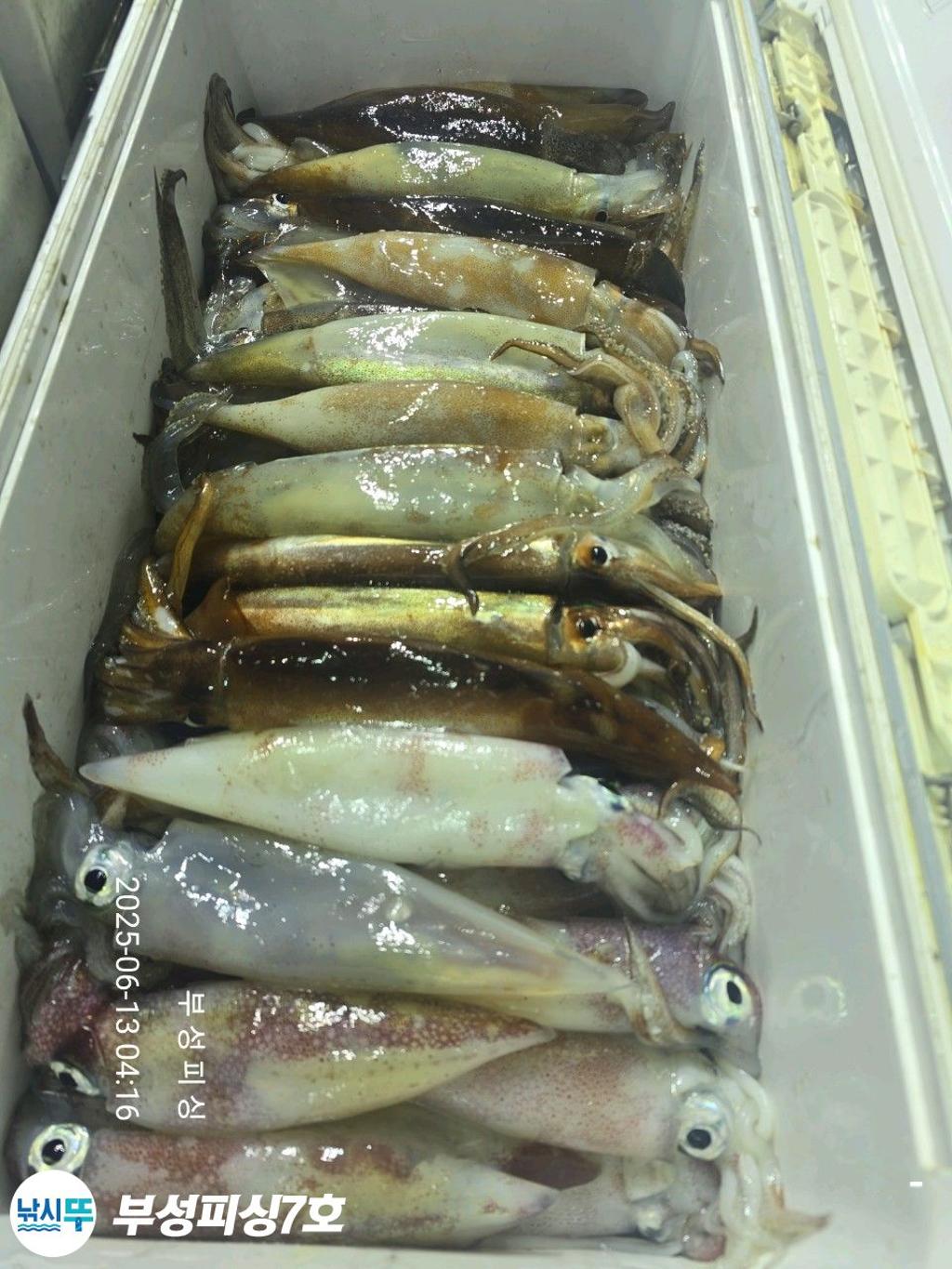 F2699207XY.jpg