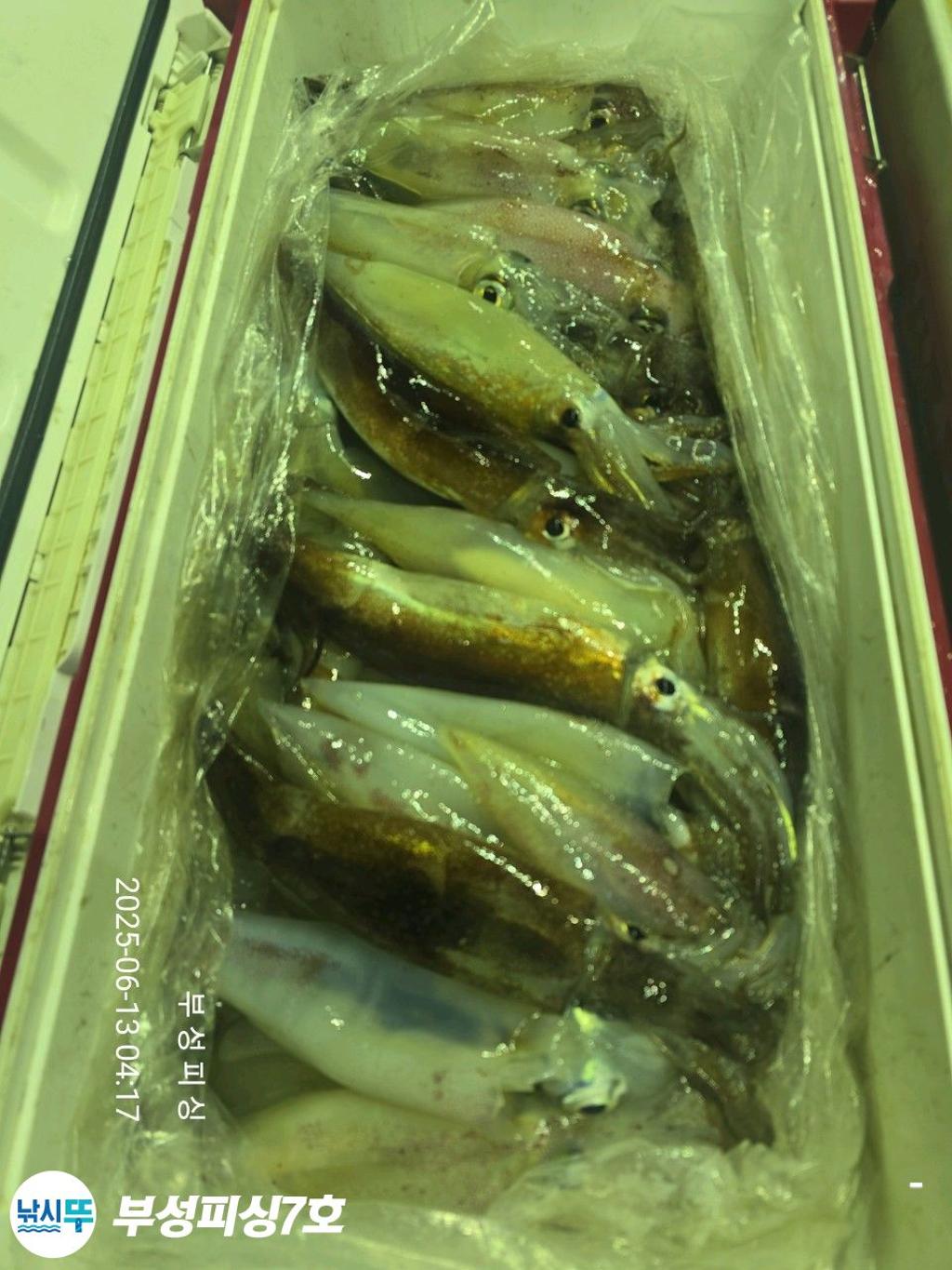 F269920889.jpg