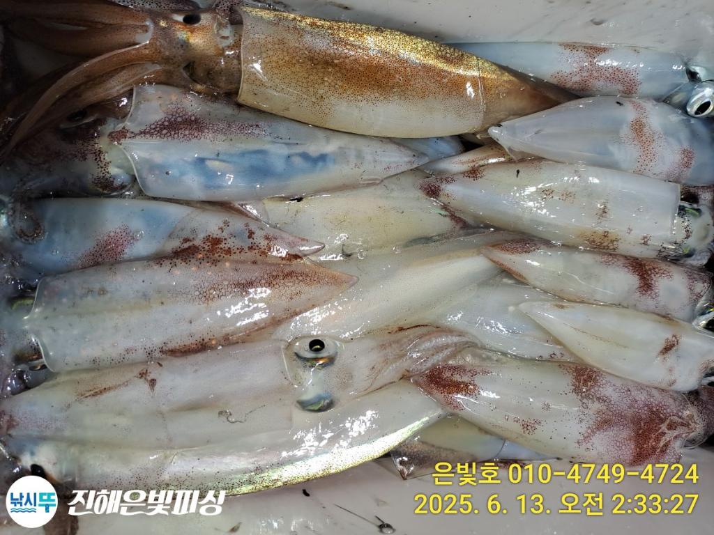 F2699248BS.jpg