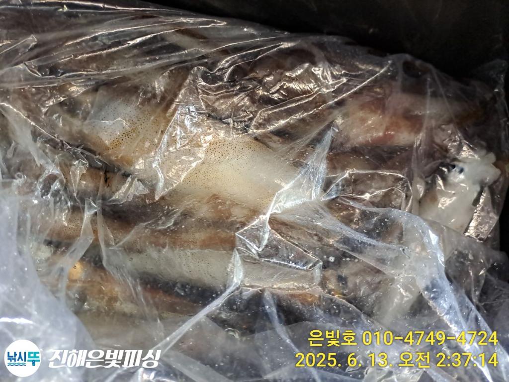F2699258LZ.jpg
