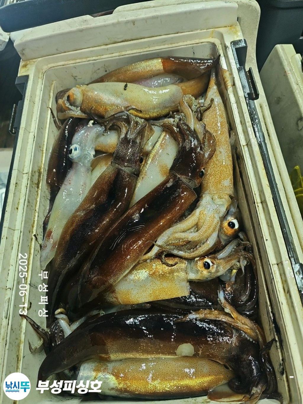 F26992759H.jpg