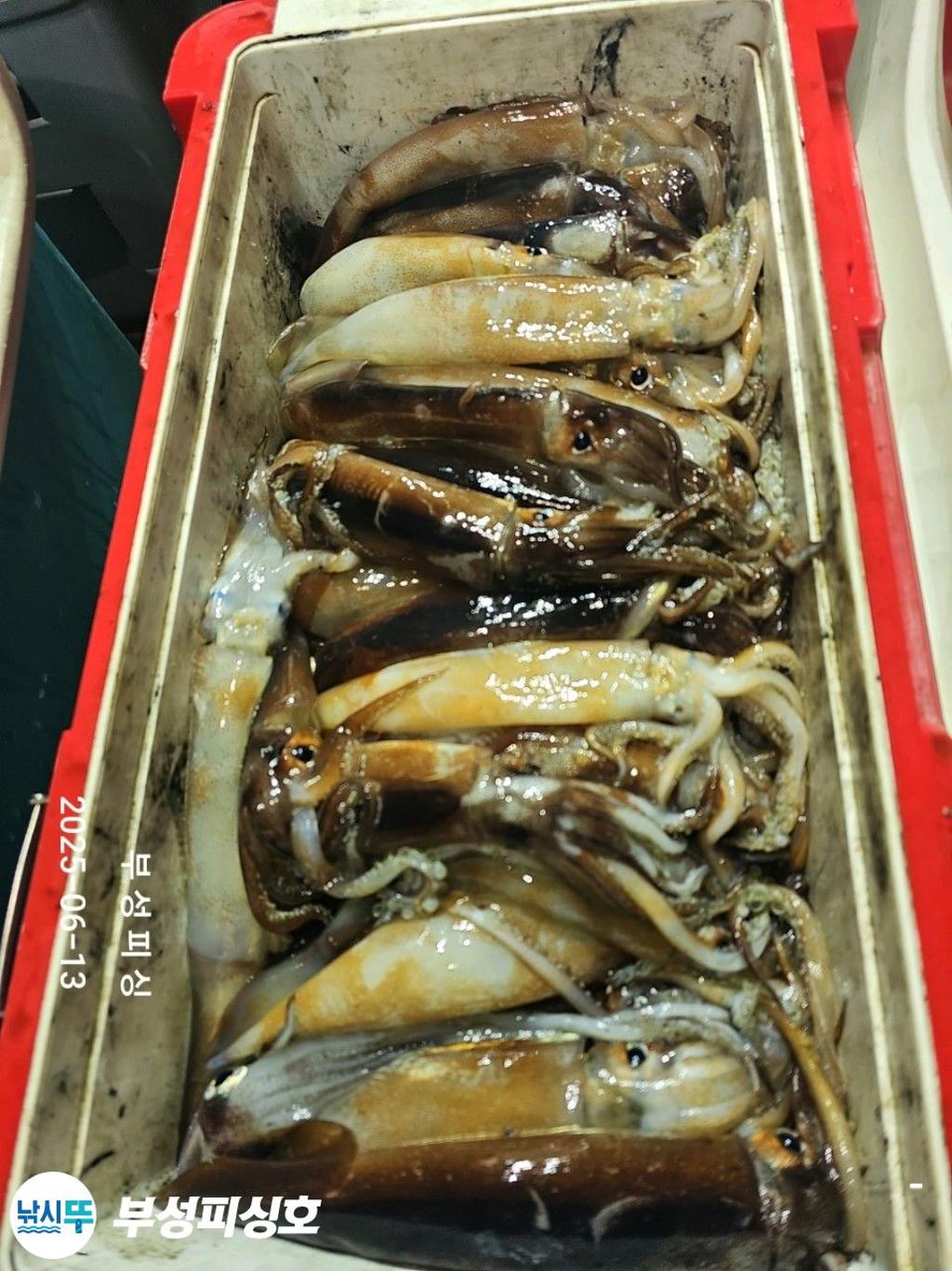 F269927729.jpg