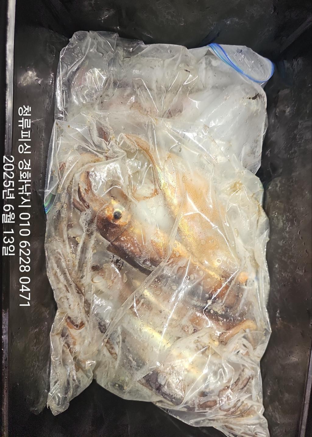 F2699319UT.jpg