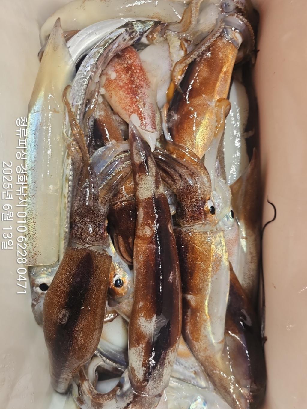 F2699320VO.jpg