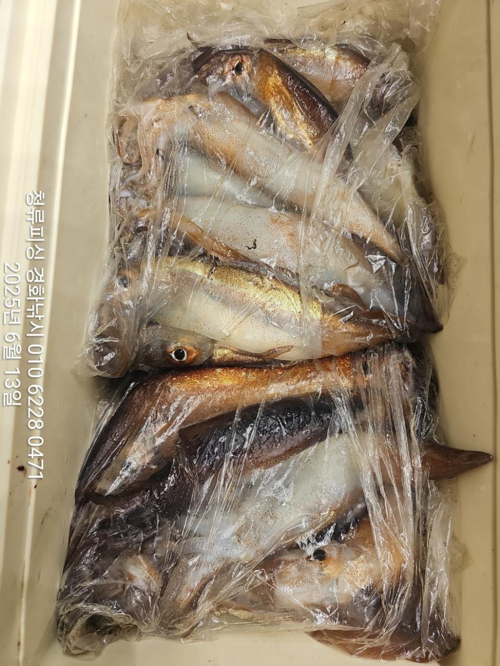 F2699321CR.jpg