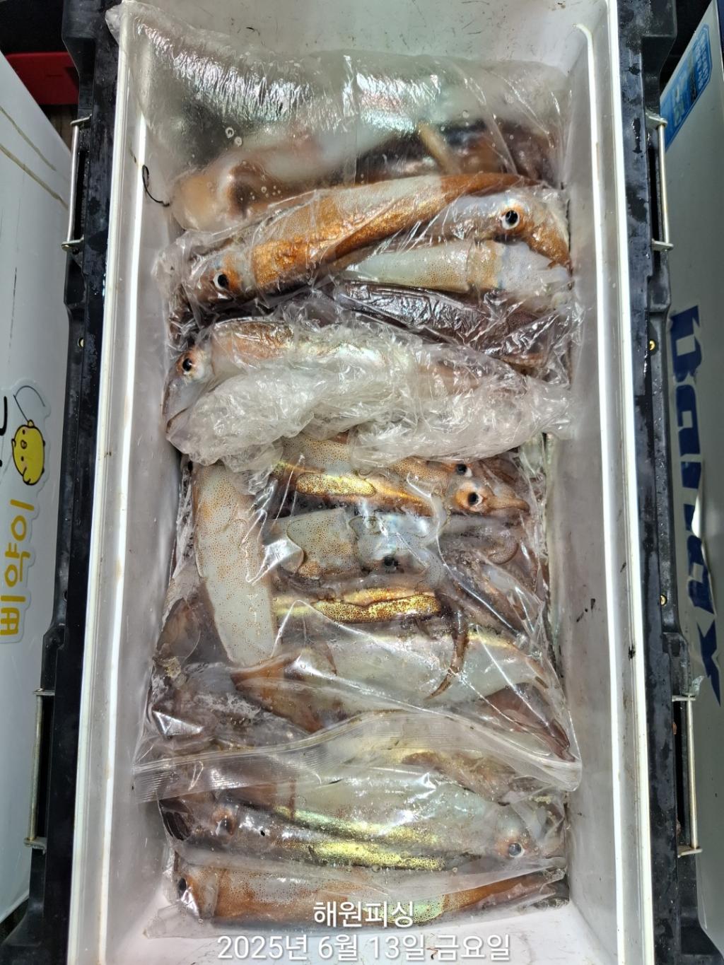 F2699516OZ.jpg