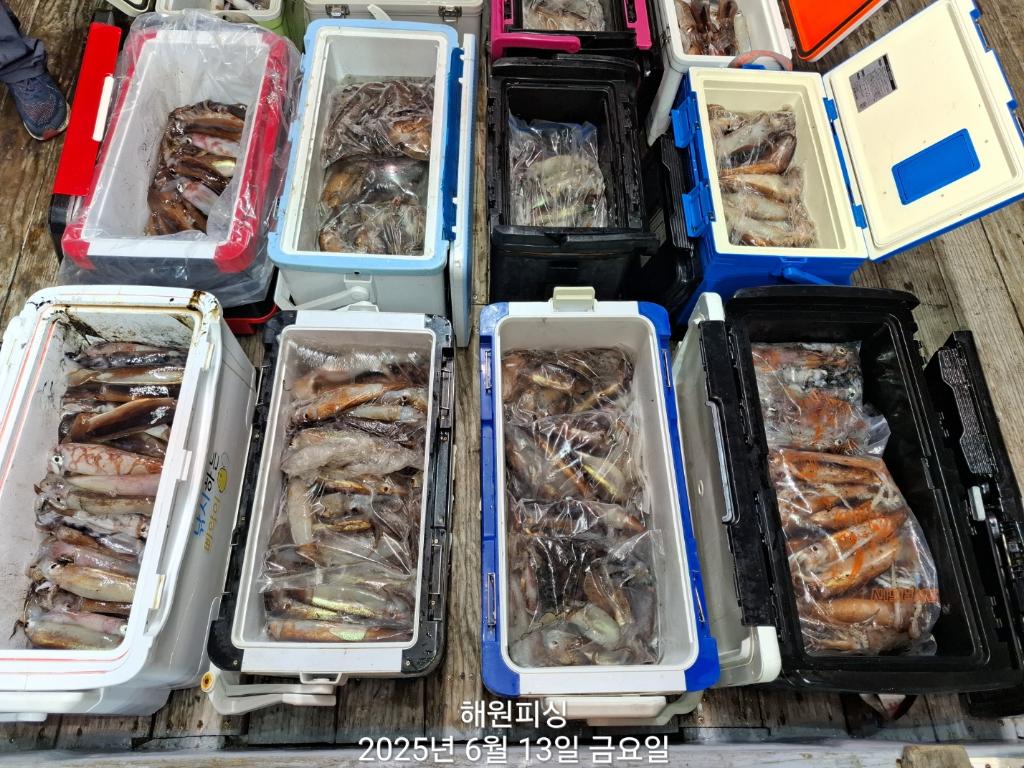 F2699522O7.jpg