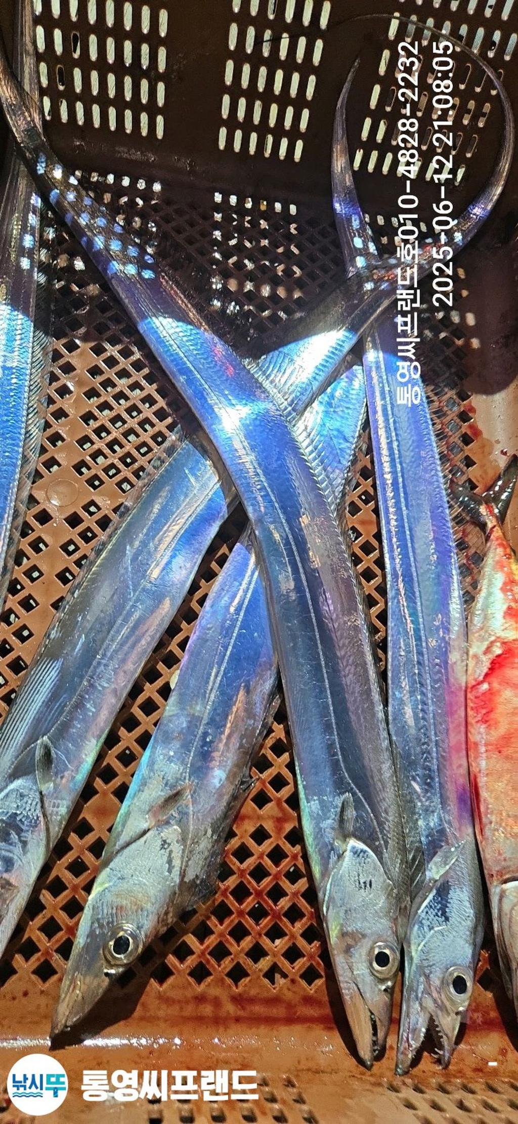 F2699631UX.jpg