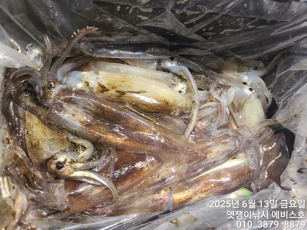 F26996730T.jpg