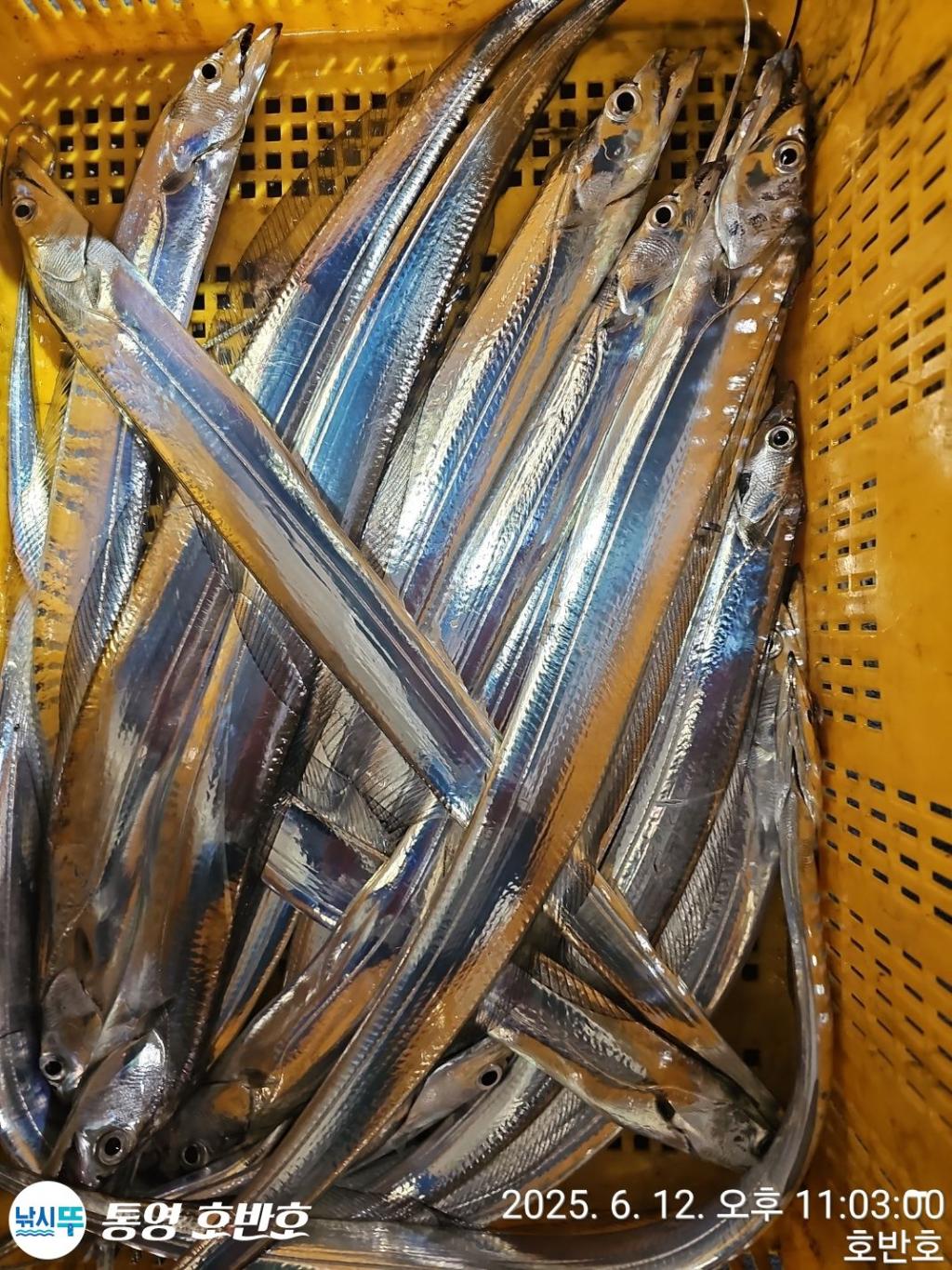 F2699816NB.jpg