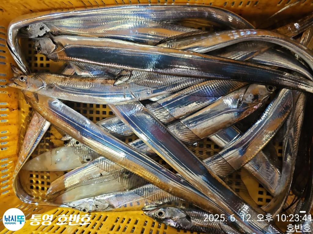 F2699817IV.jpg