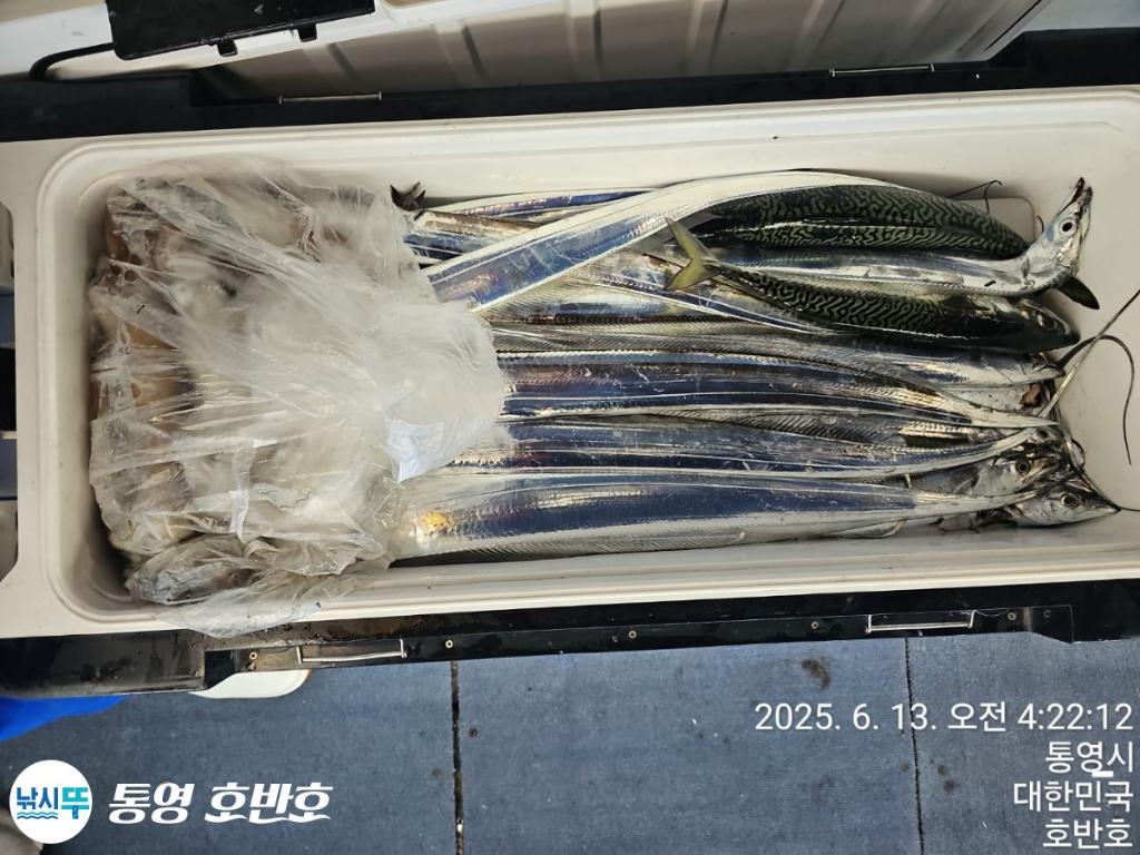 F2699822JP.jpg