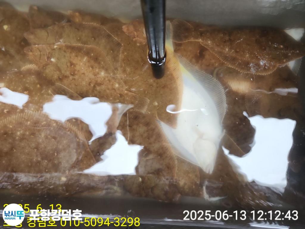 F2699866P0.jpg